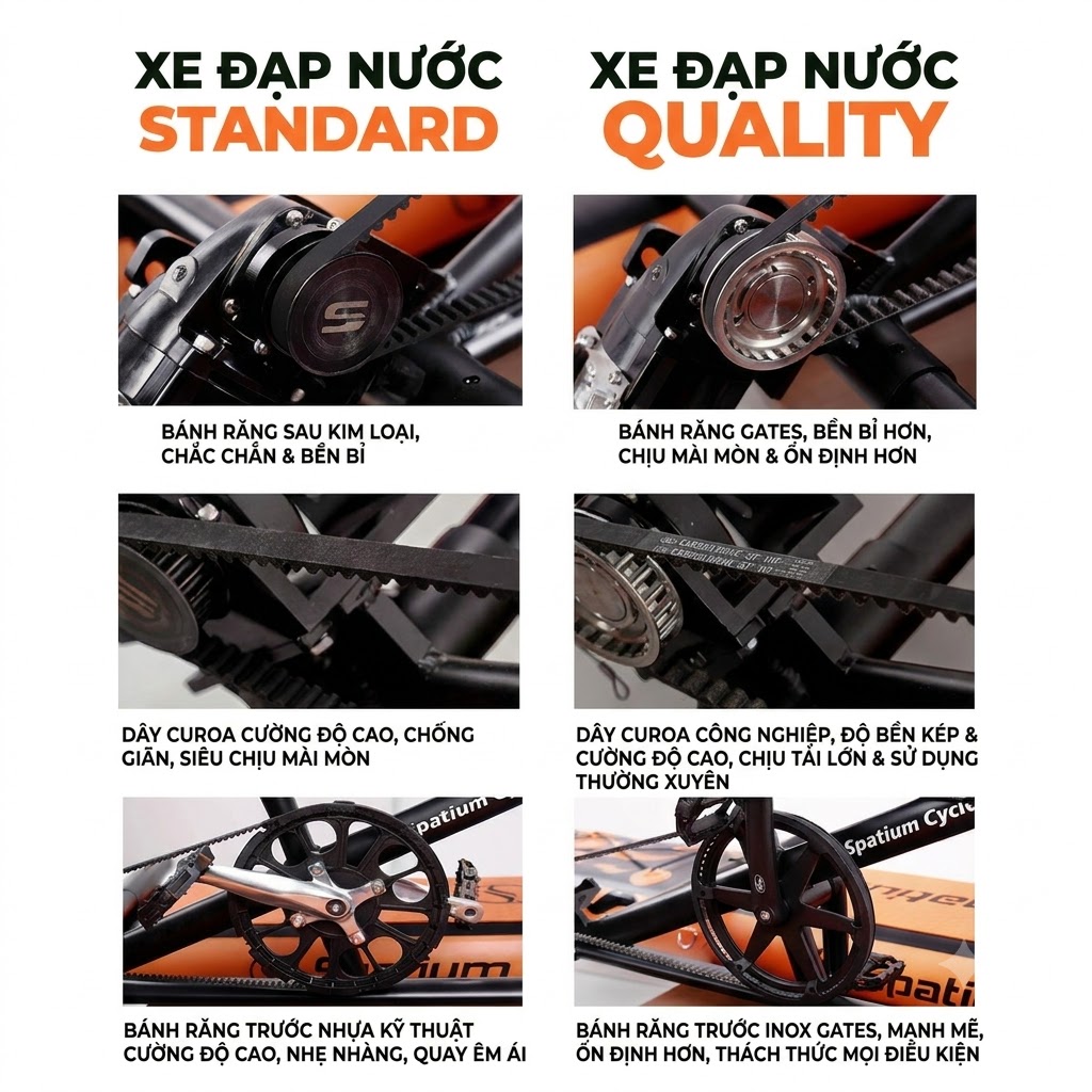 so sanh banh rang inox va day curoa carbon tren xe dap nuoc don spatium 3.0